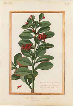 no HD illustration available (4)