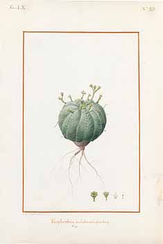 no HD illustration available (4)