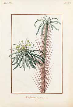 no HD illustration available (4)