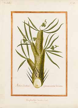 no HD illustration available (4)