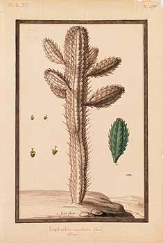 no HD illustration available (4)