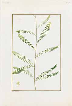 no HD illustration available (4)