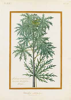 no HD illustration available (4)