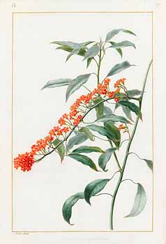 no HD illustration available (4)