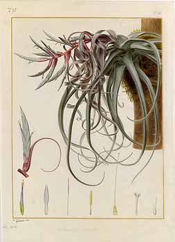 no HD illustration available (4)