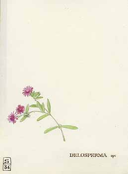 no HD illustration available (5) 