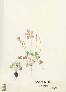 no HD illustration available (5) 