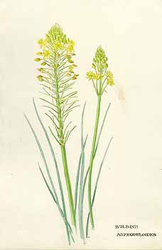 no HD illustration available (5) 