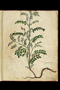 no HD illustration available (5) 