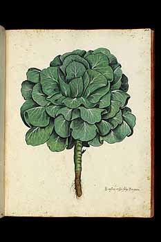 no HD illustration available (5) 