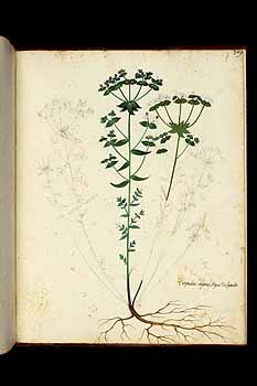 no HD illustration available (5) 