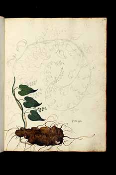 no HD illustration available (5) 