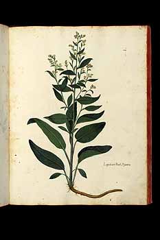 no HD illustration available (5) 