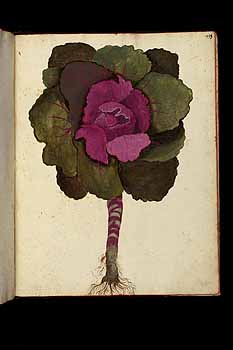 no HD illustration available (5) 