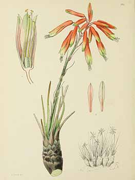 no HD illustration available (5) 