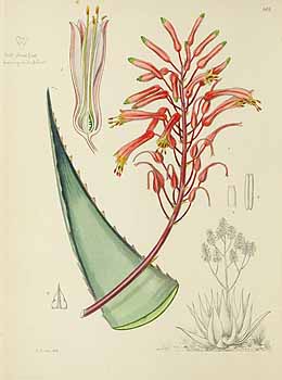 no HD illustration available (5) 