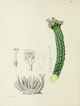 no HD illustration available (5) 