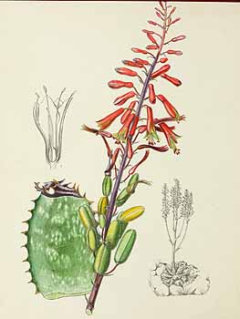 no HD illustration available (5) 