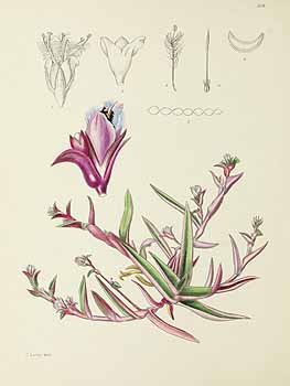 no HD illustration available (5) 