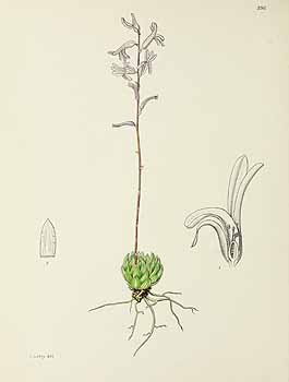 no HD illustration available (5) 