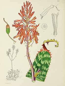 no HD illustration available (5) 