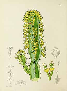 no HD illustration available (5) 