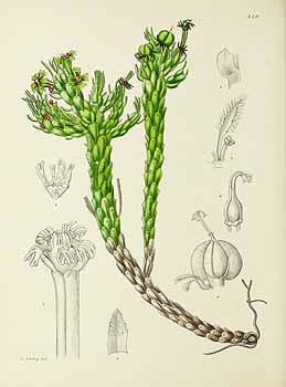 no HD illustration available (5) 