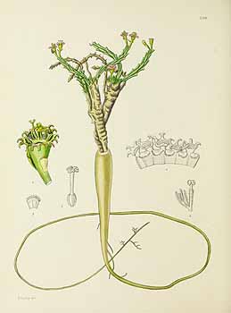 no HD illustration available (5) 