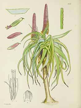 no HD illustration available (5) 