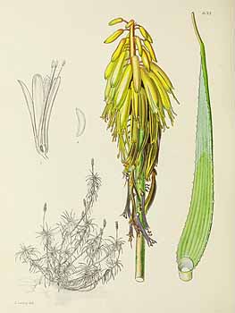 no HD illustration available (5) 