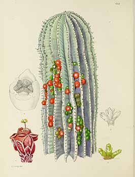 no HD illustration available (5) 