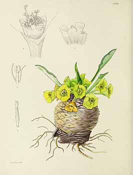 no HD illustration available (5) 