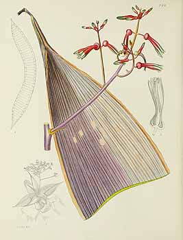 no HD illustration available (5) 