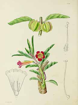 no HD illustration available (5) 