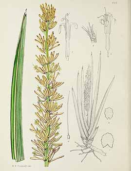 no HD illustration available (5) 