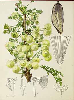 no HD illustration available (5) 