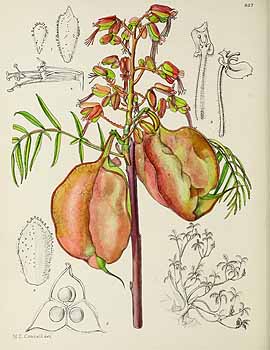 no HD illustration available (5) 