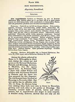 no HD illustration available (5) 