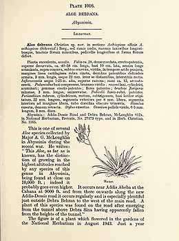 no HD illustration available (5) 