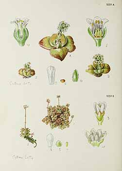 no HD illustration available (5) 