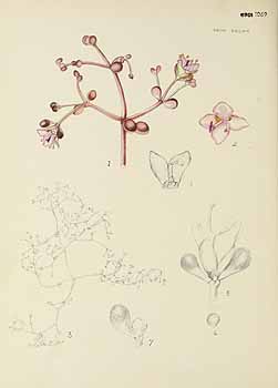 no HD illustration available (5) 