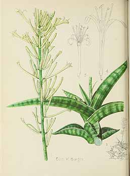 no HD illustration available (5) 