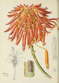 no HD illustration available (5) 