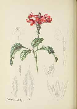 no HD illustration available (5) 