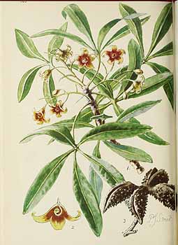 no HD illustration available (5) 