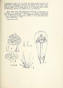 no HD illustration available (5) 