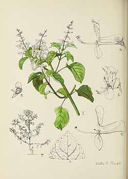 no HD illustration available (5) 