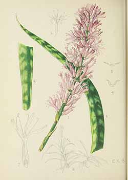 no HD illustration available (5) 