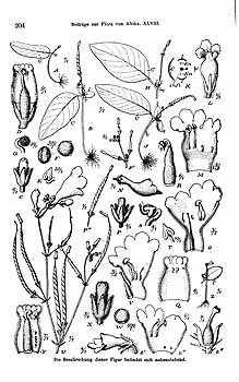 no HD illustration available (4)