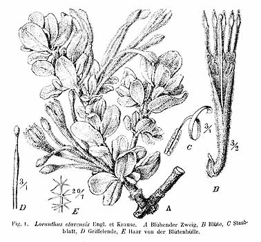 no HD illustration available (4)